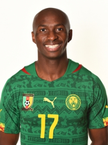 Stephane Mbia